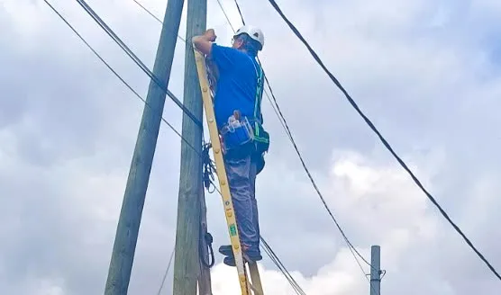 Operario con casco subido a una escalera de mano apoyada en un poste de madera, entre cables aéreos y un cielo nublado